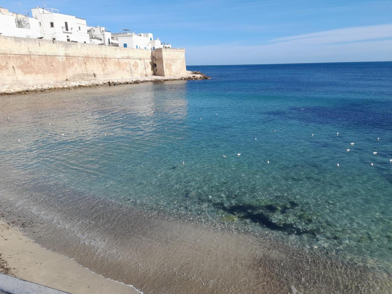Suite Santa Caterina Monopoli Eksteriør billede